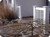 fence 2 023_lg